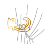Curtain Holdback Hooks