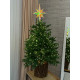 Christmas Decoration Tree Topper Small Star Holographic with LED Lighting