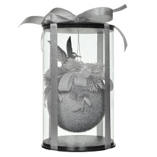 Ball with packaging 10 cm (art. 3669)