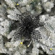 New Year's decoration Flower Christmas cobweb - black