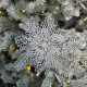 New Year's decoration Flower Christmas cobweb - white