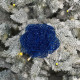 New Year's decoration Christmas flower medium - navy blue