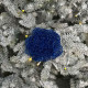 New Year's decoration Christmas flower mini - navy blue