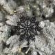 Christmas decoration Snowflake Classic - black