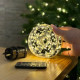 LED Garland Rosa 100 meters, warm white color LEDs on green wire, 1000 LED, with remote control