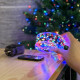 LED Garland Rosa 100 meters, LEDs of different colors on green wire, 1000 LED, with remote control